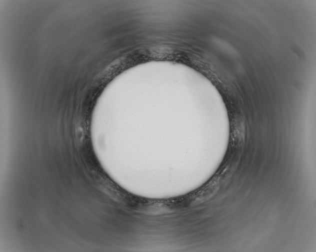 X0000112520569200909281019