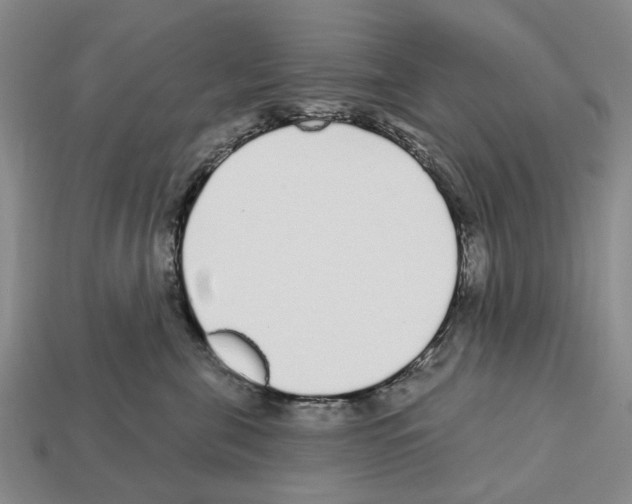 X0000112520571200909281019