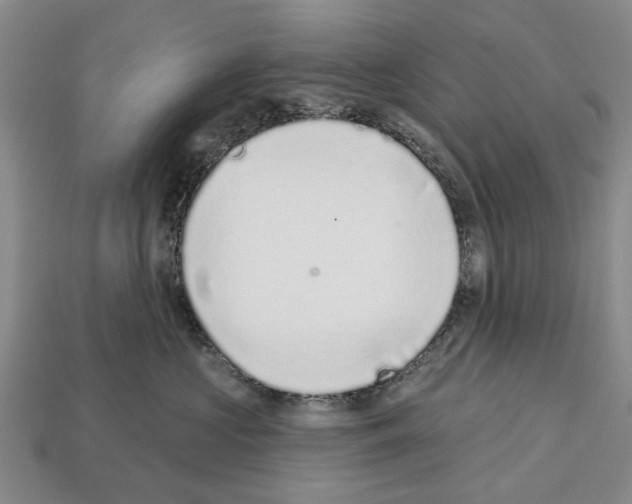 X0000112520573200909281019