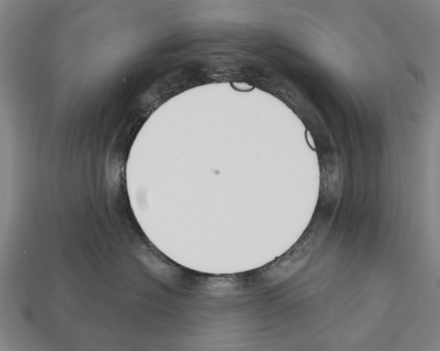 X0000112520574200909281019