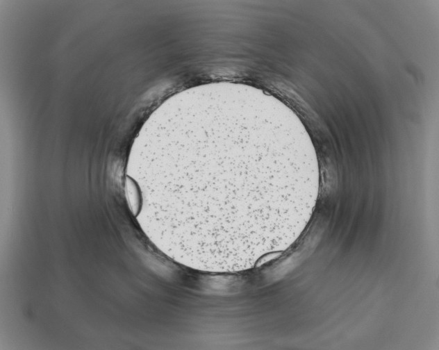 X0000112520575200909281019
