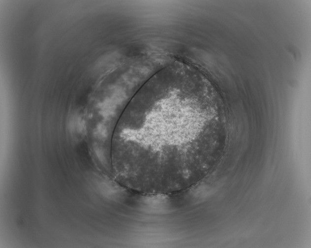 X0000112520576200909281019