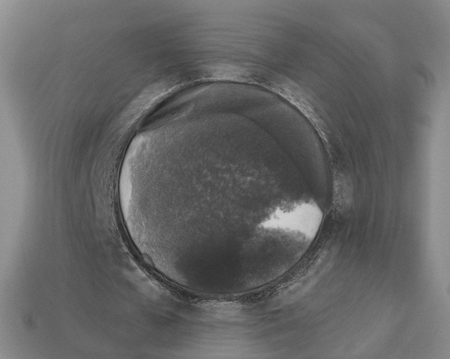 X0000112520577200909281018