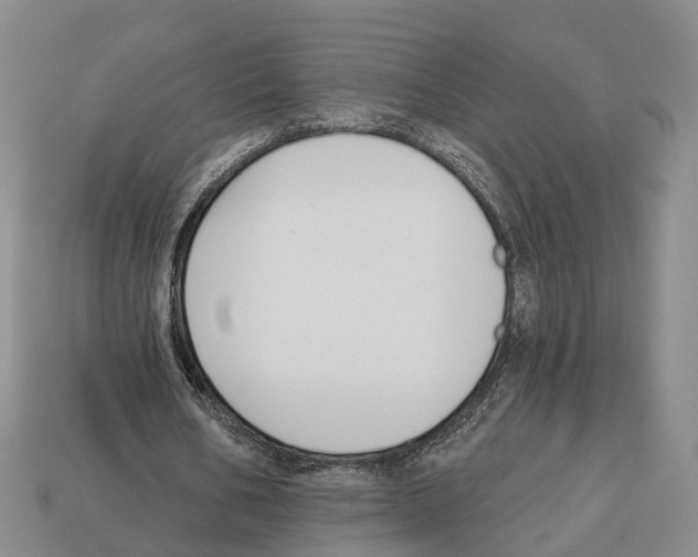 X0000112520578200909281018