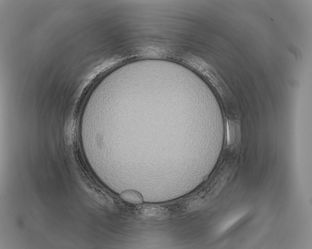X0000112520579200909281018