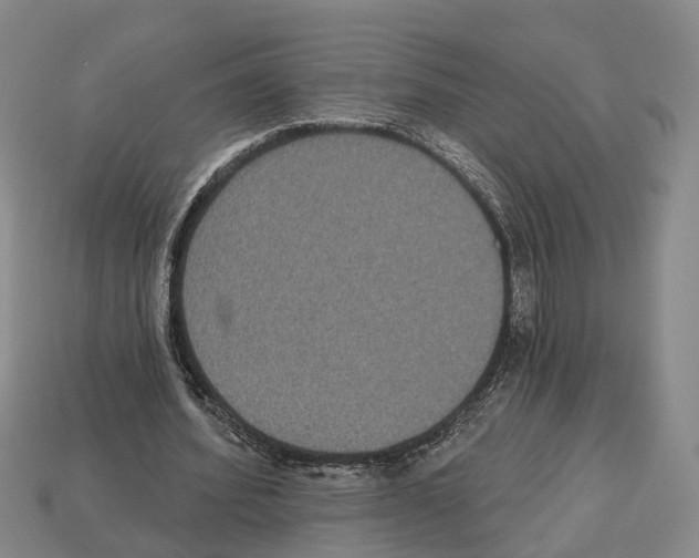 X0000112520580200909281018