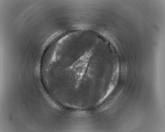 X0000112520581200909281018