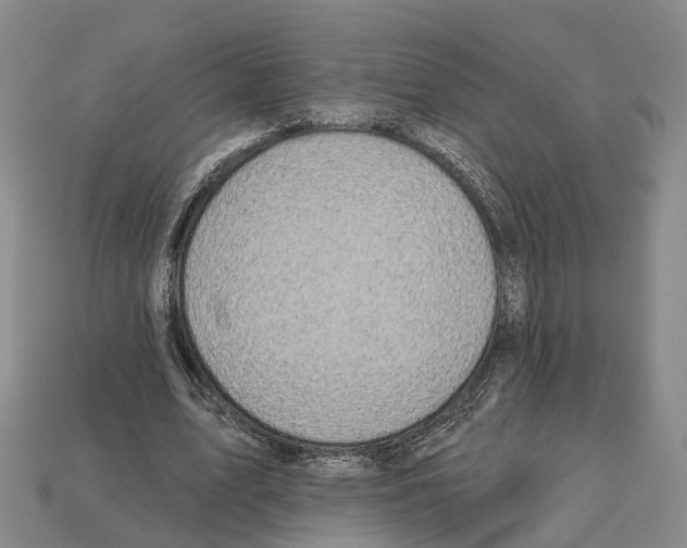 X0000112520583200909281018