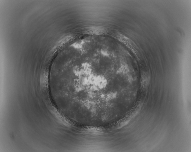 X0000112520585200909281018