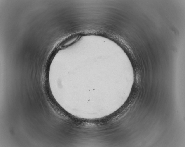 X0000112520588200909281018