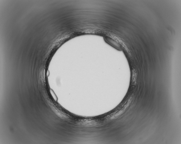 X0000112520589200909281018