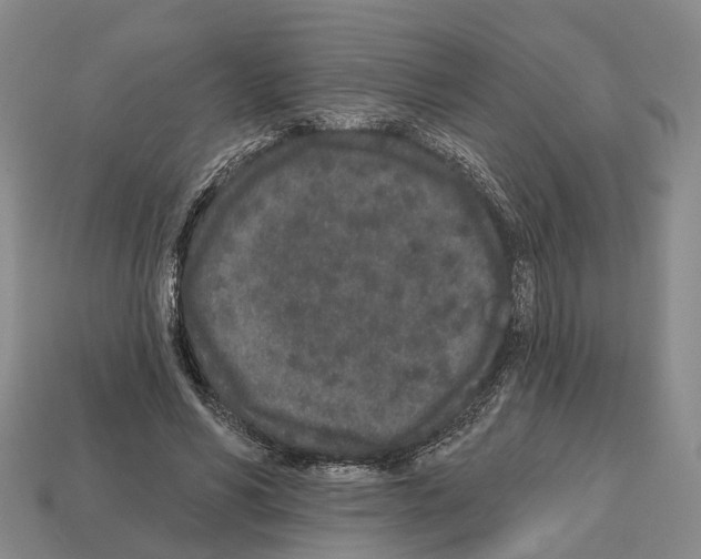 X0000112520590200909281018