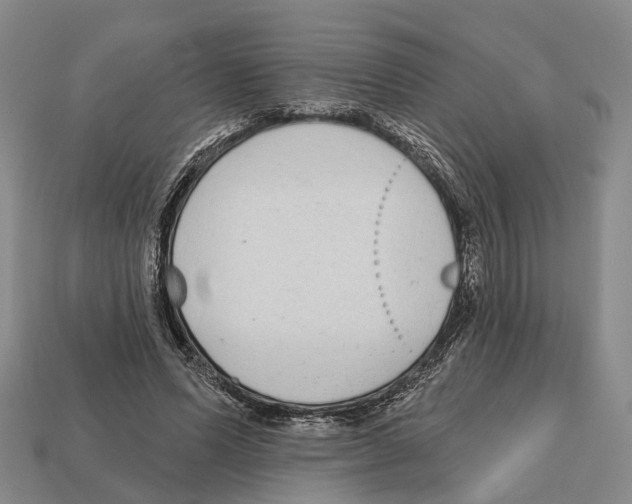 X0000112520591200909281018