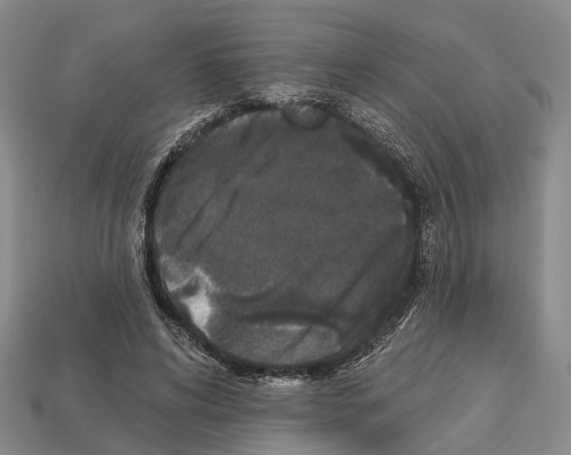 X0000112520592200909281018
