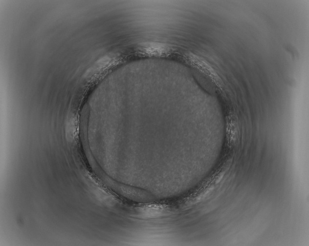 X0000112520593200909281018
