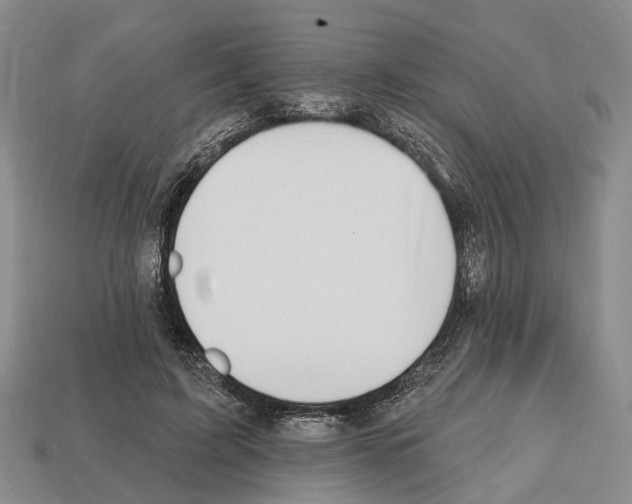 X0000112520595200909281018
