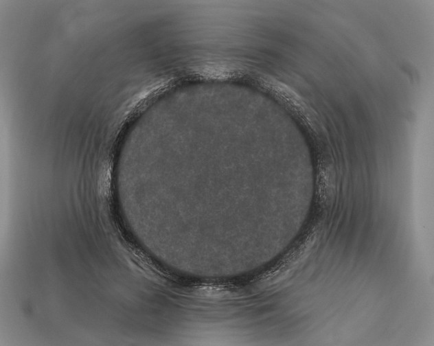 X0000112520596200909281018