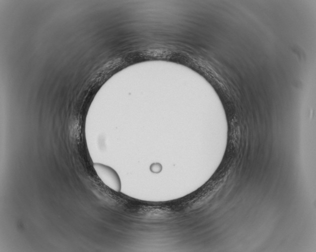 X0000112520597200909281018