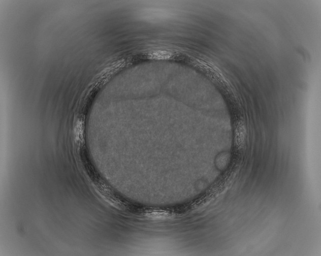 X0000112520598200909281018