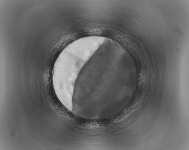 X0000112520600200909281018
