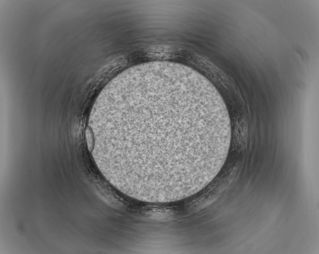 X0000112520601200909281018