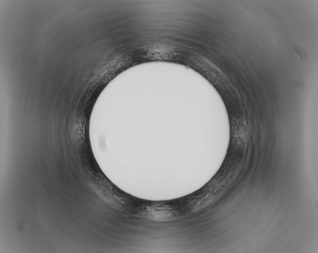 X0000112520603200909281018