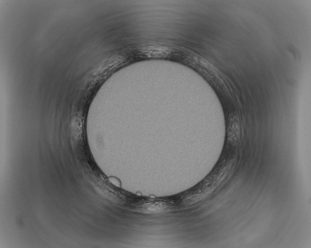 X0000112520604200909281018