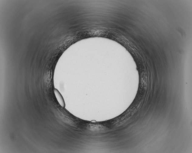 X0000112520605200909281018