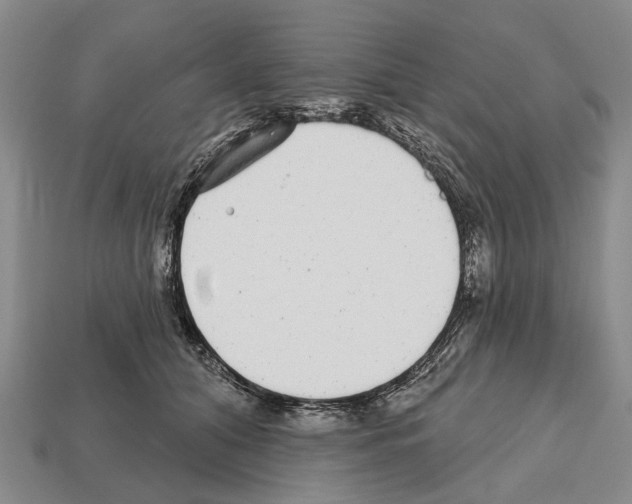 X0000112520608200909281018