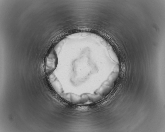 X0000112520609200909281018