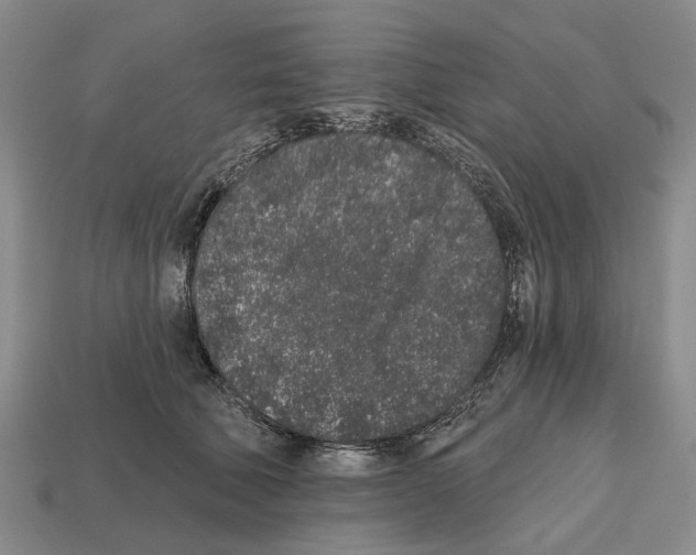 X0000112520610200909281018