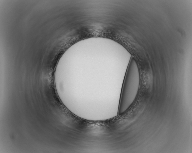 X0000112520611200909281018