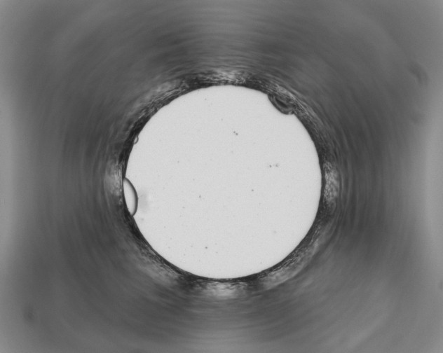 X0000112520613200909281018