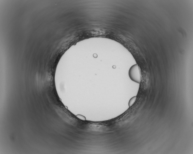 X0000112520614200909281018