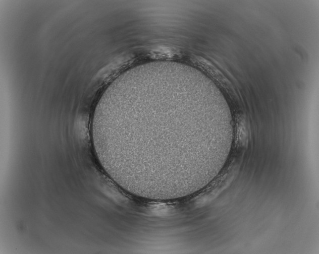 X0000112520616200909281018