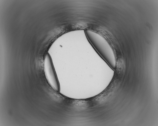 X0000112520617200909281018