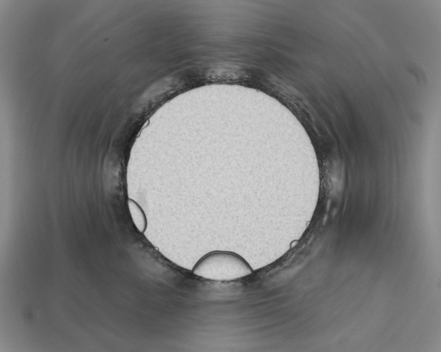 X0000112520619200909281018