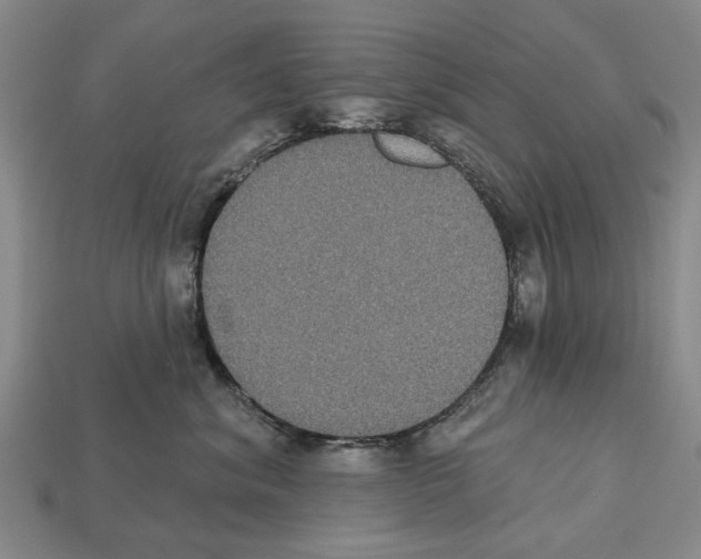 X0000112520620200909281018