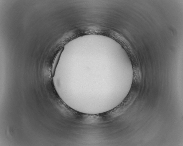 X0000112520621200909281018