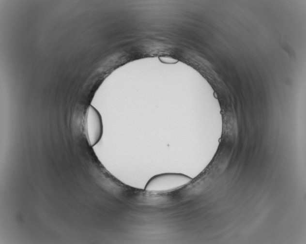 X0000112520622200909281018