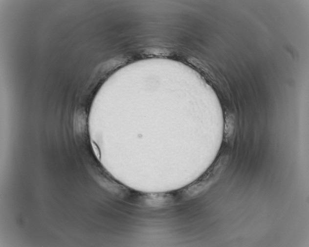 X0000112520623200909281018