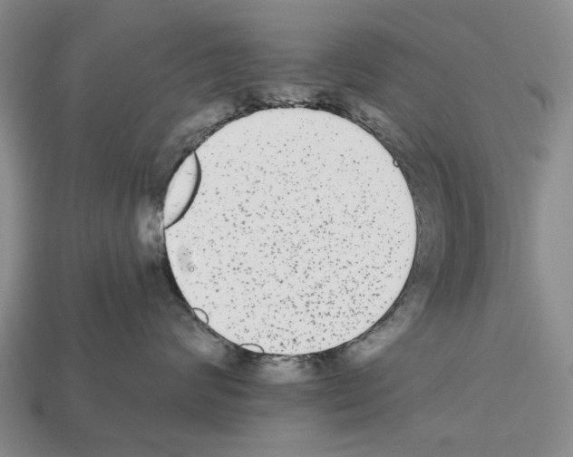 X0000112520624200909281018