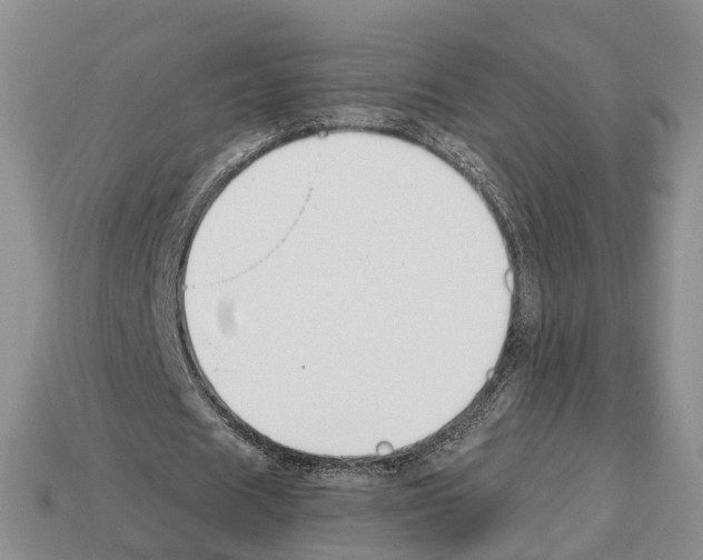 X0000112520625200909281017