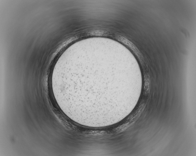 X0000112520626200909281017