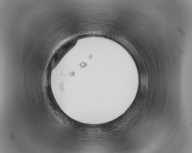 X0000112520628200909281017