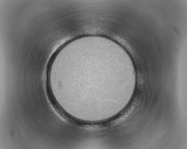 X0000112520630200909281017