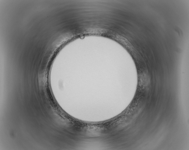 X0000112520632200909281017