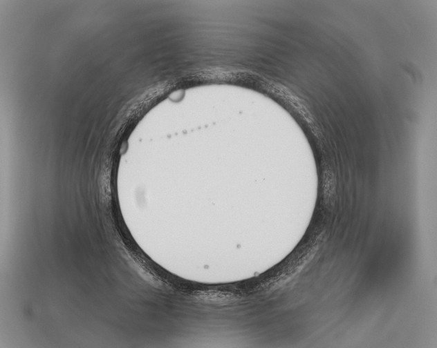 X0000112520633200909281017
