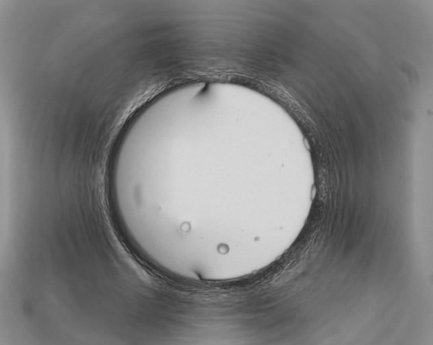 X0000112520634200909281017