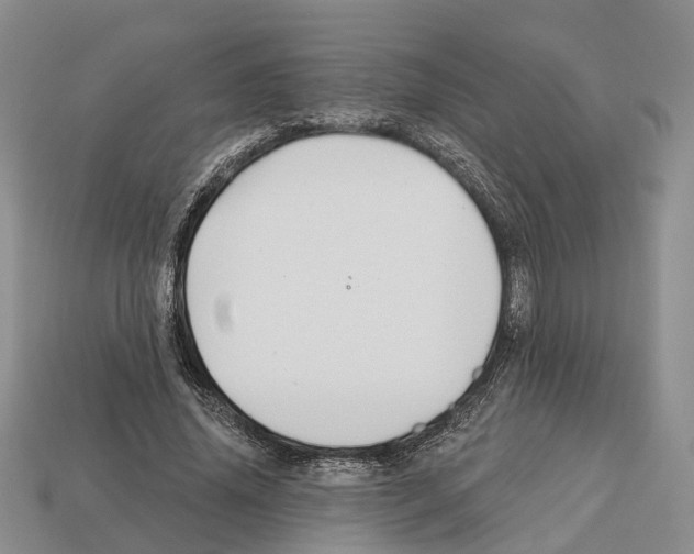 X0000112520636200909281017
